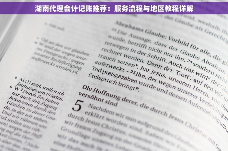 湖南代理会计记账推荐：服务流程与地区教程详解