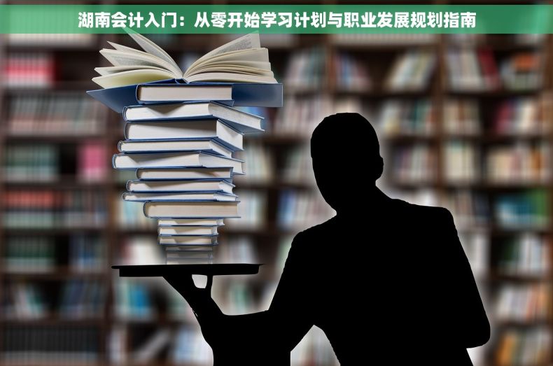 湖南会计入门：从零开始学习计划与职业发展规划指南