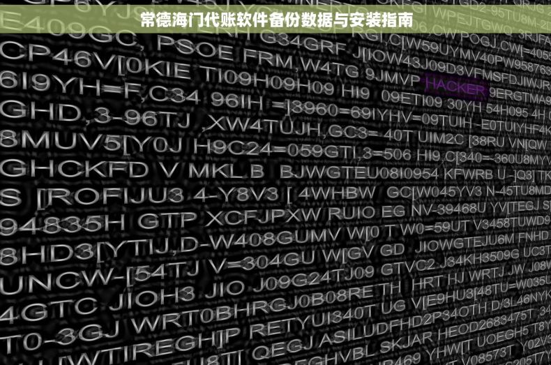 常德海门代账软件备份数据与安装指南