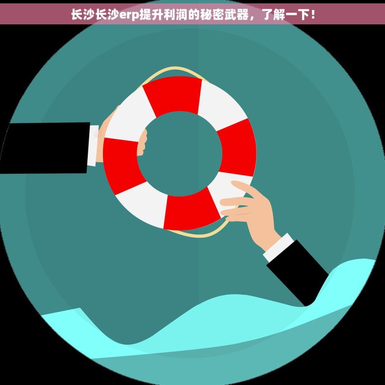 长沙长沙erp提升利润的秘密武器，了解一下！
