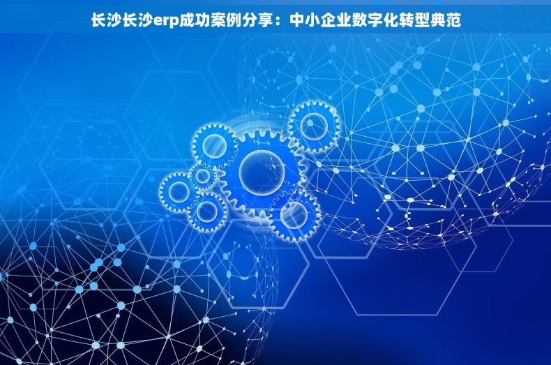 长沙长沙erp成功案例分享：中小企业数字化转型典范