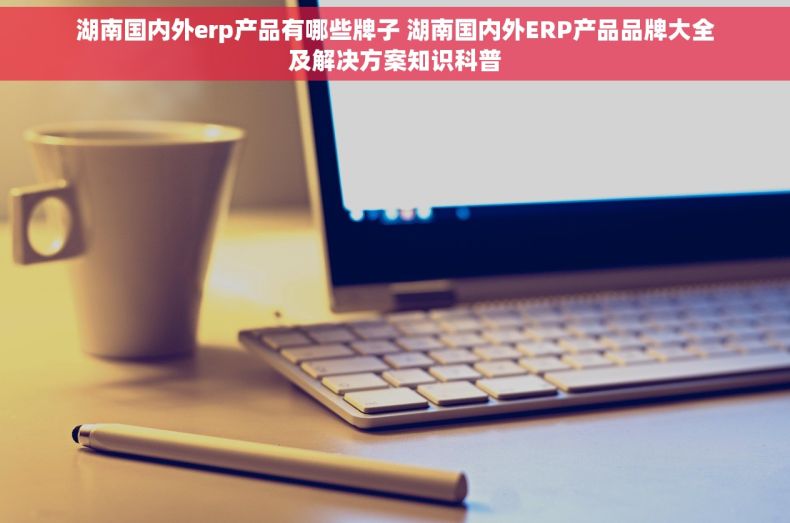 湖南国内外erp产品有哪些牌子 湖南国内外ERP产品品牌大全及解决方案知识科普