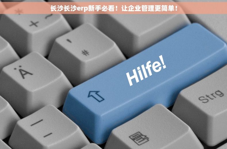长沙长沙erp新手必看！让企业管理更简单！