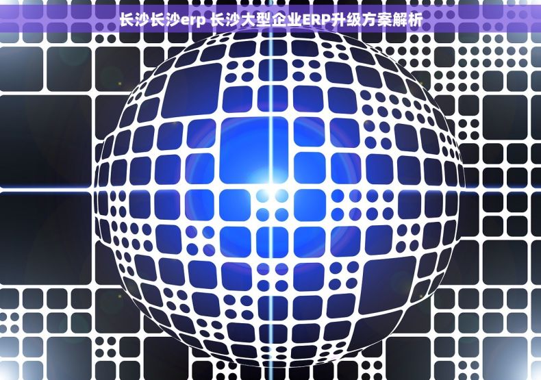 长沙长沙erp 长沙大型企业ERP升级方案解析