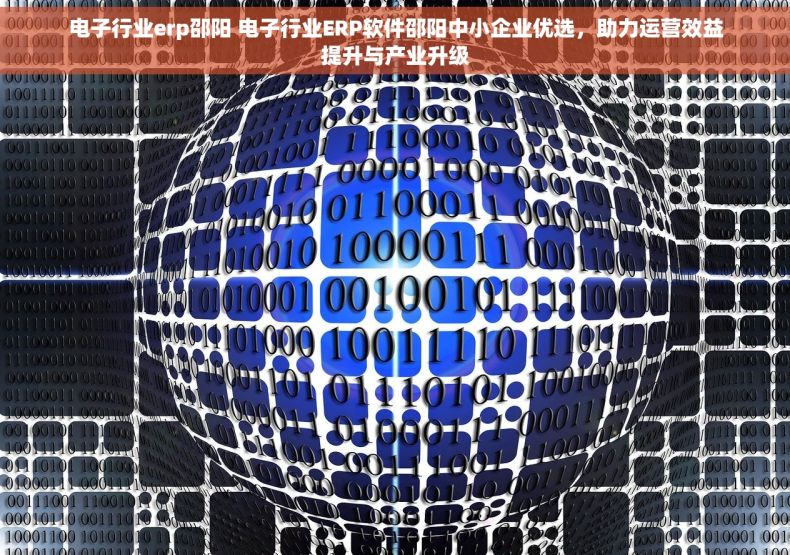 电子行业erp邵阳 电子行业ERP软件邵阳中小企业优选，助力运营效益提升与产业升级