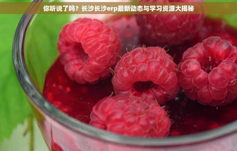 你听说了吗？长沙长沙erp最新动态与学习资源大揭秘