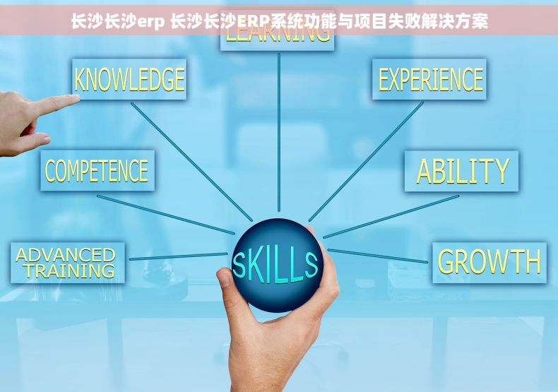 长沙长沙erp 长沙长沙ERP系统功能与项目失败解决方案