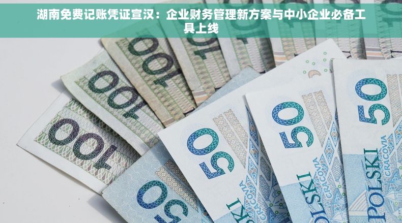 湖南免费记账凭证宣汉：企业财务管理新方案与中小企业必备工具上线