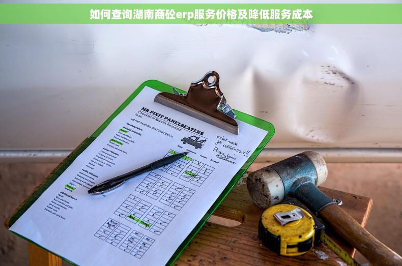 如何查询湖南商砼erp服务价格及降低服务成本