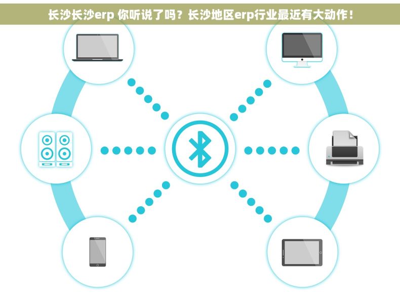 长沙长沙erp 你听说了吗？长沙地区erp行业最近有大动作！