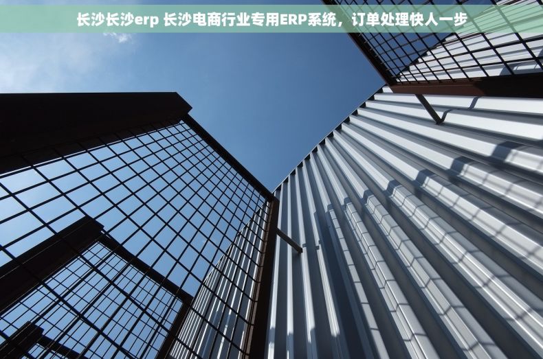 长沙长沙erp 长沙电商行业专用ERP系统，订单处理快人一步