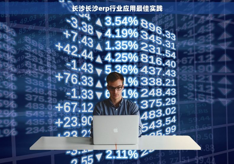 长沙长沙erp行业应用最佳实践