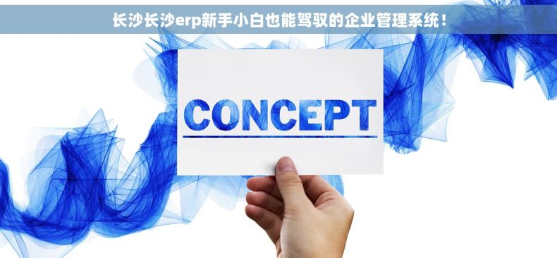 长沙长沙erp新手小白也能驾驭的企业管理系统！