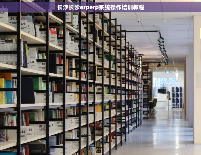 长沙长沙erperp系统操作培训教程