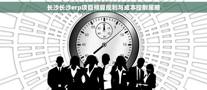 长沙长沙erp项目预算规划与成本控制策略