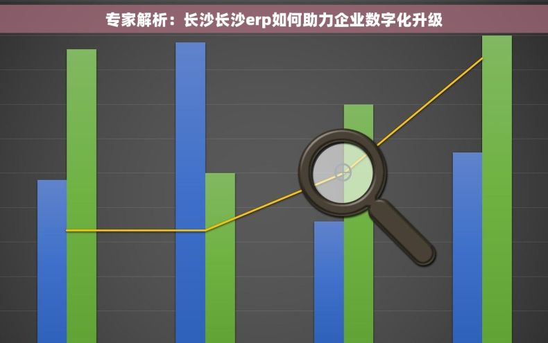 专家解析：长沙长沙erp如何助力企业数字化升级
