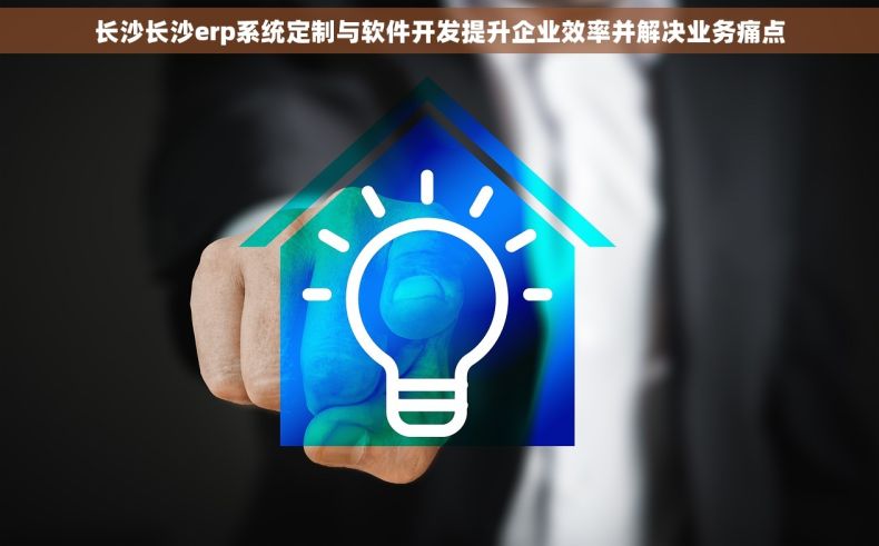 长沙长沙erp系统定制与软件开发提升企业效率并解决业务痛点