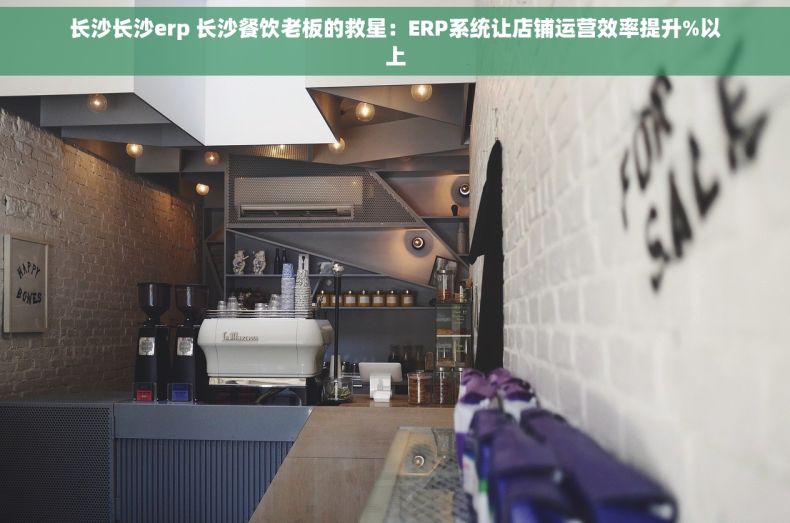 长沙长沙erp 长沙餐饮老板的救星：ERP系统让店铺运营效率提升%以上