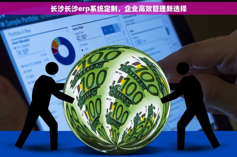 长沙长沙erp系统定制，企业高效管理新选择