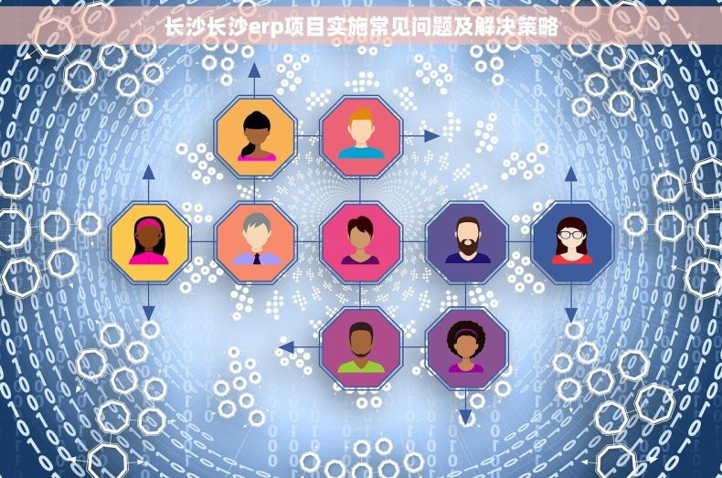 长沙长沙erp项目实施常见问题及解决策略