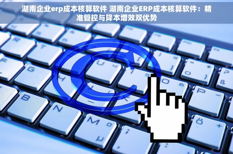湖南企业erp成本核算软件 湖南企业ERP成本核算软件：精准管控与降本增效双优势