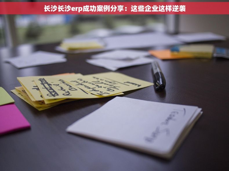 长沙长沙erp成功案例分享：这些企业这样逆袭