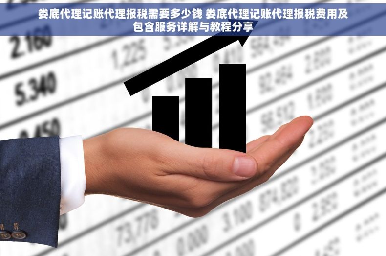 娄底代理记账代理报税需要多少钱 娄底代理记账代理报税费用及包含服务详解与教程分享