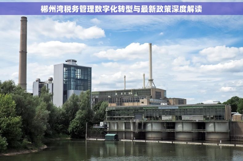 郴州湾税务管理数字化转型与最新政策深度解读