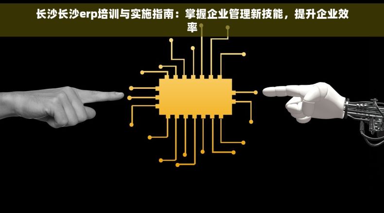 长沙长沙erp培训与实施指南：掌握企业管理新技能，提升企业效率
