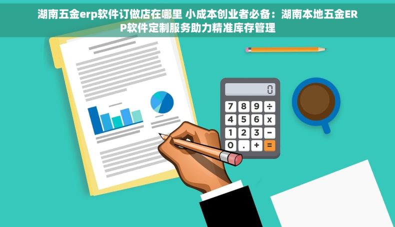 湖南五金erp软件订做店在哪里 小成本创业者必备：湖南本地五金ERP软件定制服务助力精准库存管理