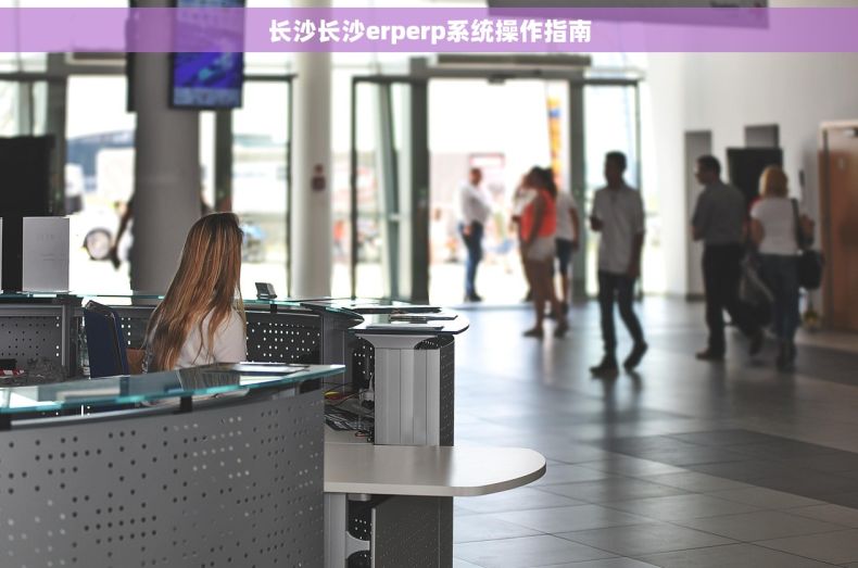 长沙长沙erperp系统操作指南