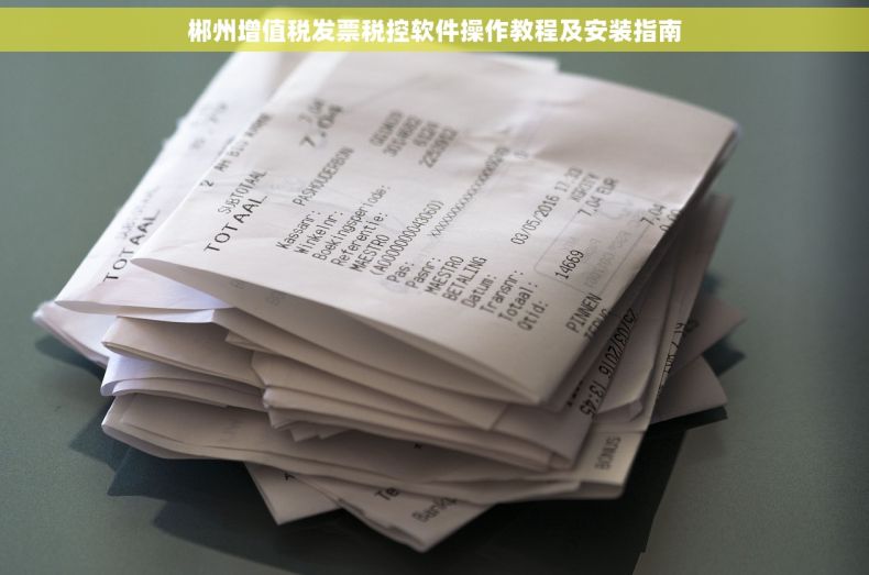 郴州增值税发票税控软件操作教程及安装指南