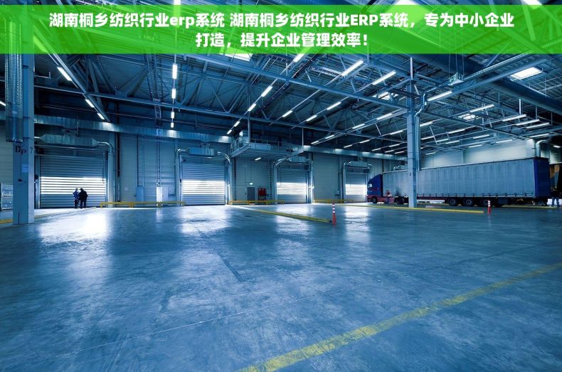 湖南桐乡纺织行业erp系统 湖南桐乡纺织行业ERP系统，专为中小企业打造，提升企业管理效率！