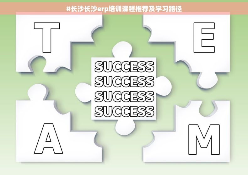 #长沙长沙erp培训课程推荐及学习路径