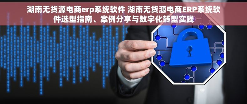 湖南无货源电商erp系统软件 湖南无货源电商ERP系统软件选型指南、案例分享与数字化转型实践