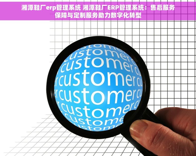 湘潭鞋厂erp管理系统 湘潭鞋厂ERP管理系统：售后服务保障与定制服务助力数字化转型