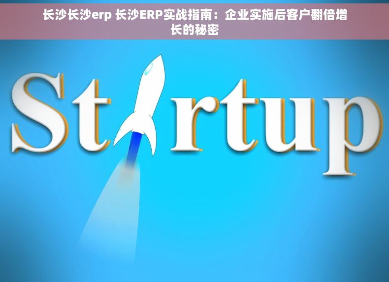 长沙长沙erp 长沙ERP实战指南：企业实施后客户翻倍增长的秘密