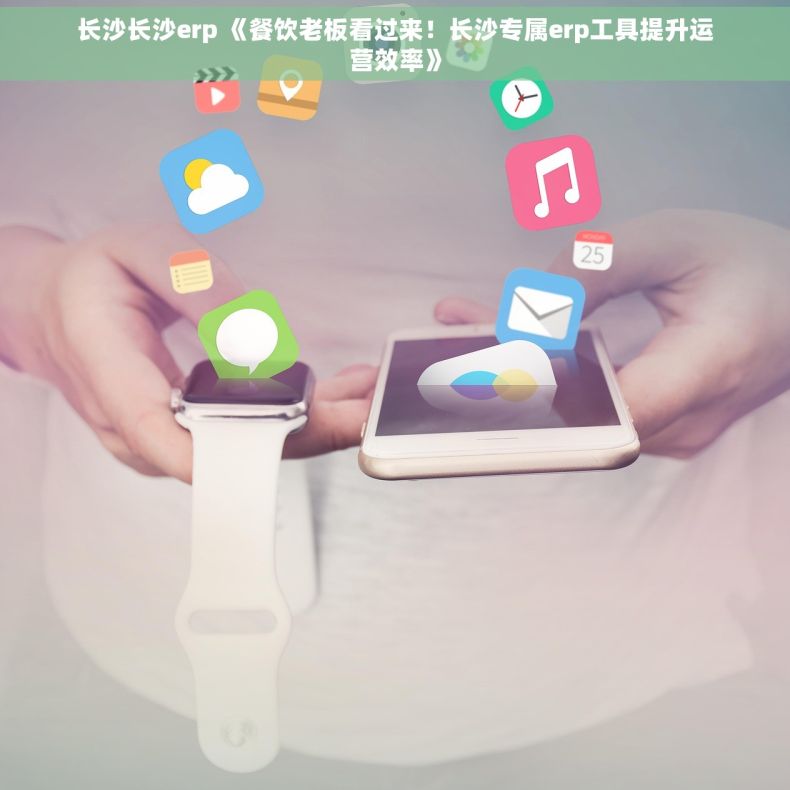 长沙长沙erp 《餐饮老板看过来！长沙专属erp工具提升运营效率》