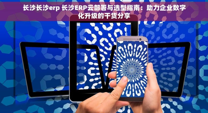 长沙长沙erp 长沙ERP云部署与选型指南：助力企业数字化升级的干货分享