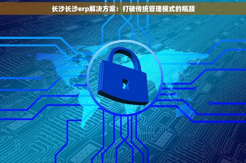 长沙长沙erp解决方案：打破传统管理模式的瓶颈