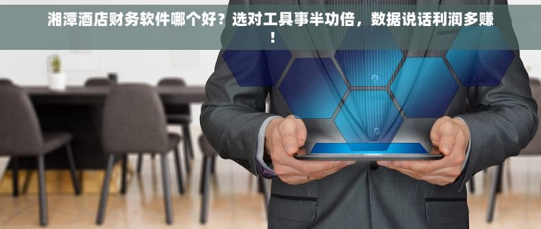湘潭酒店财务软件哪个好？选对工具事半功倍，数据说话利润多赚！