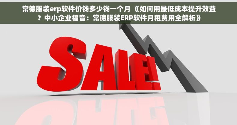 常德服装erp软件价钱多少钱一个月 《如何用最低成本提升效益？中小企业福音：常德服装ERP软件月租费用全解析》