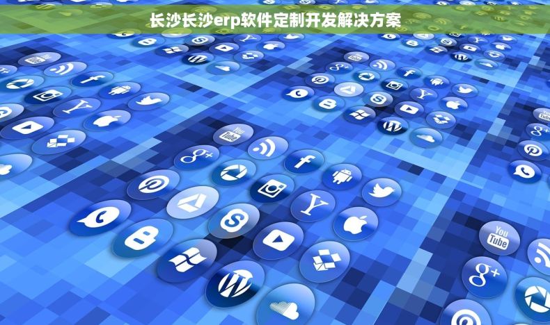 长沙长沙erp软件定制开发解决方案