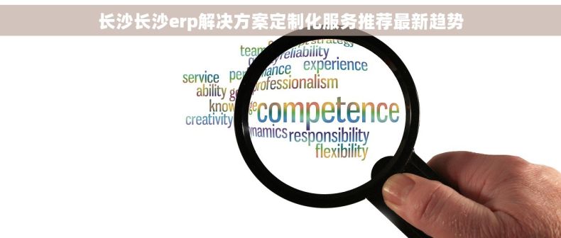 长沙长沙erp解决方案定制化服务推荐最新趋势