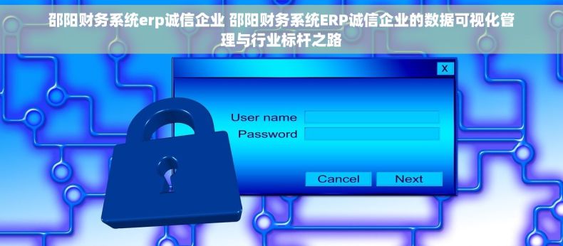 邵阳财务系统erp诚信企业 邵阳财务系统ERP诚信企业的数据可视化管理与行业标杆之路