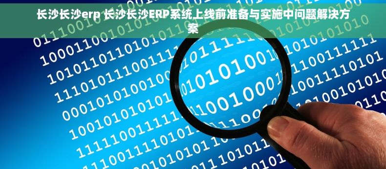 长沙长沙erp 长沙长沙ERP系统上线前准备与实施中问题解决方案