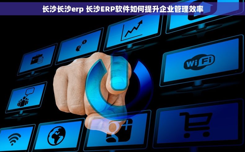 长沙长沙erp 长沙ERP软件如何提升企业管理效率