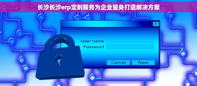 长沙长沙erp定制服务为企业量身打造解决方案