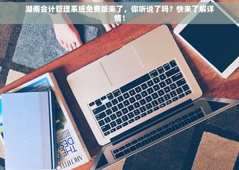 湖南会计管理系统免费版来了，你听说了吗？快来了解详情！