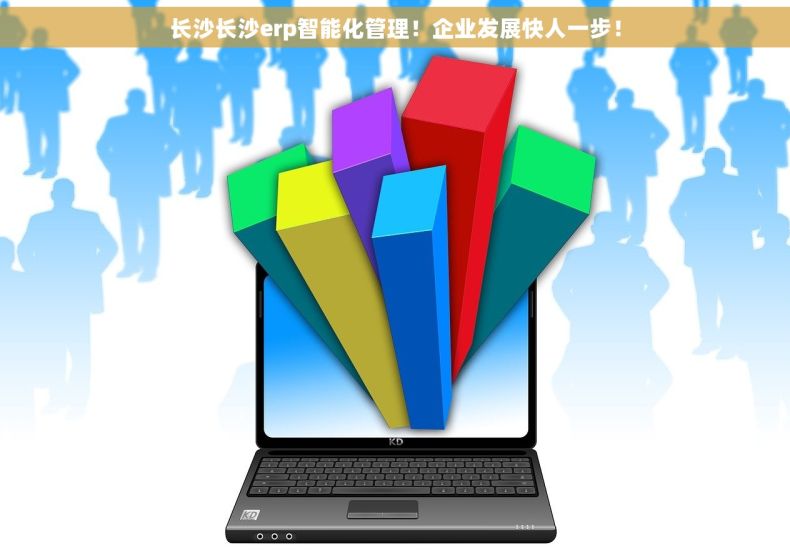 长沙长沙erp智能化管理！企业发展快人一步！